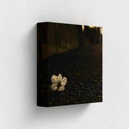 8''x8'' square eco-friendly canvas showing a single blossom on dark asphalt, minimalist composition printed with vegan inks on recycled materials