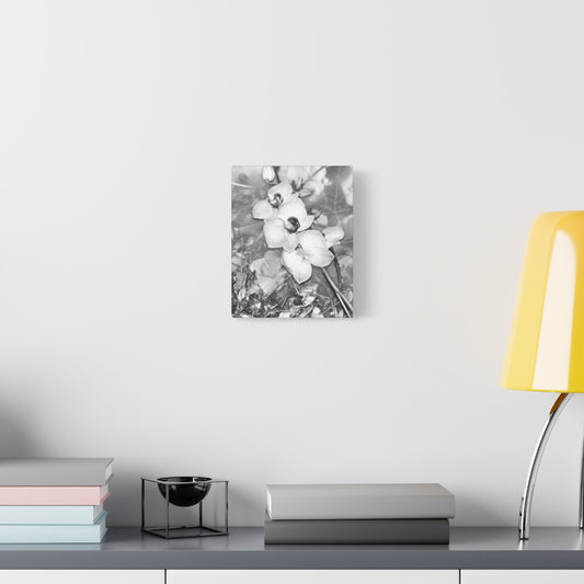 black and white canvas featuring close up of orchids, vertical, size: 8''x10''