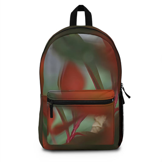 Colourful Backpack