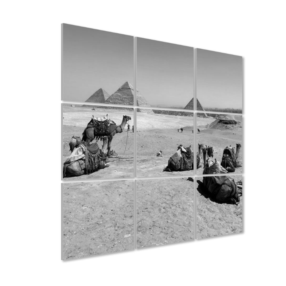 Left‑side angled view of the greyscale 9‑panel acoustic wall art featuring camels resting before the Pyramids of Giza, emphasising tonal contrast.