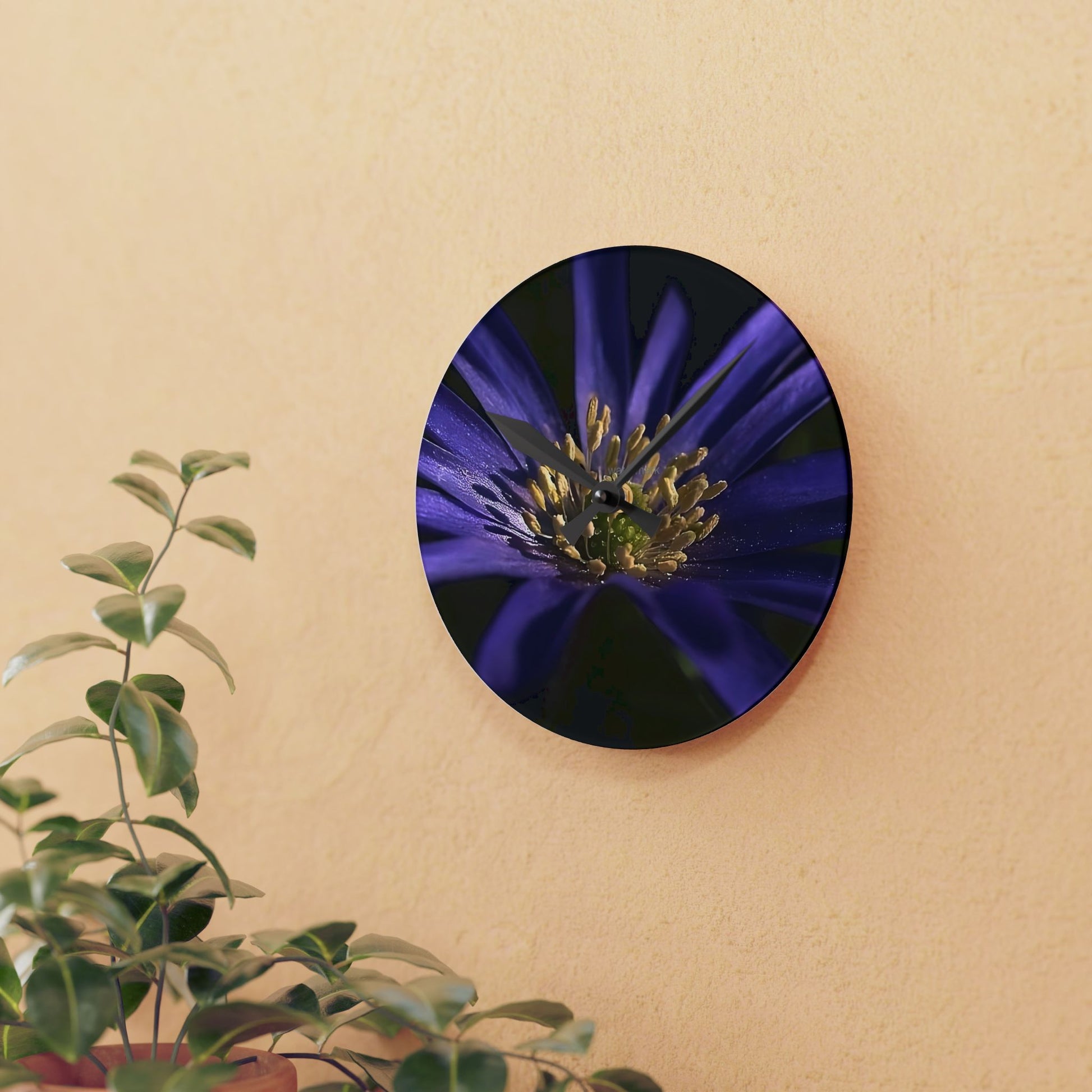 Floral acrylic wall clock featuring close up of purple anemone