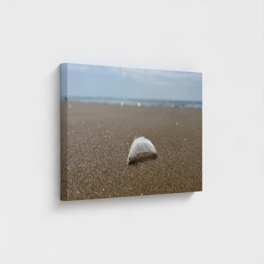 Papi's Canvas beach wall art eco-friendly decor showing a feather on the sand