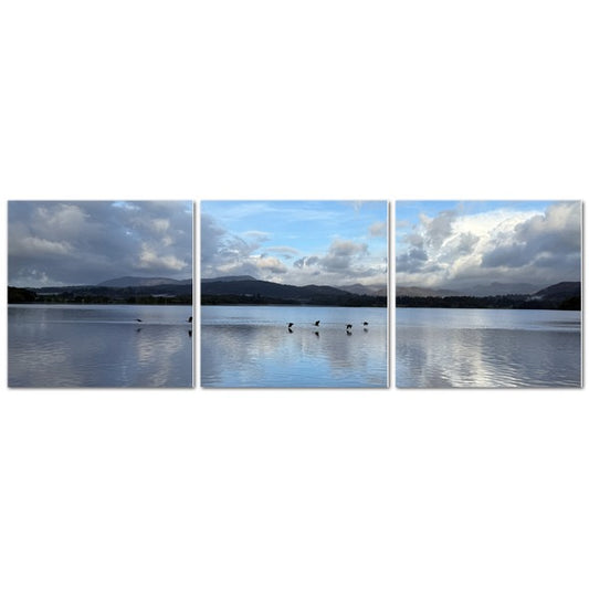 Birds Flying Over Windermere Lake - Lake District Landscape with tranquil water and scenic mountains