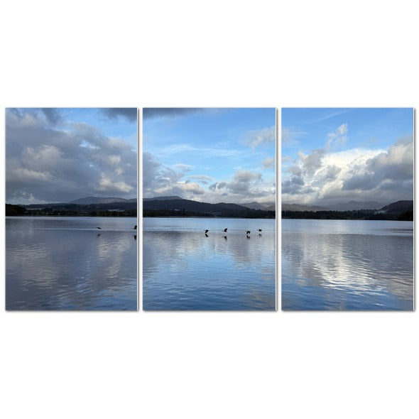 Tranquil landscape of Birds Flying Over Windermere Lake - Lake District Landscape with serene water reflections