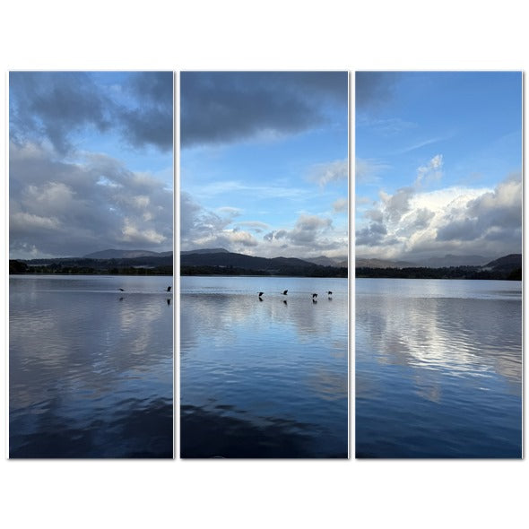 Stunning landscape of Birds Flying Over Windermere Lake - Lake District Landscape with serene water reflections