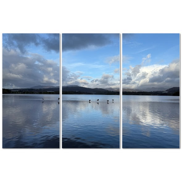 Panoramic view of Birds Flying Over Windermere Lake - Lake District Landscape with calm waters and dramatic clouds