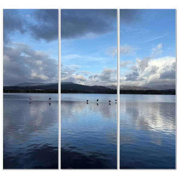 Scenic view of Birds Flying Over Windermere Lake - Lake District Landscape with calm water and clouds