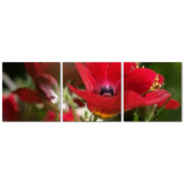 Made in UK Floral Triptych Canvas featuring Red Nemesia. Three panel marina scene with wooden rowboats on a cloudy lake