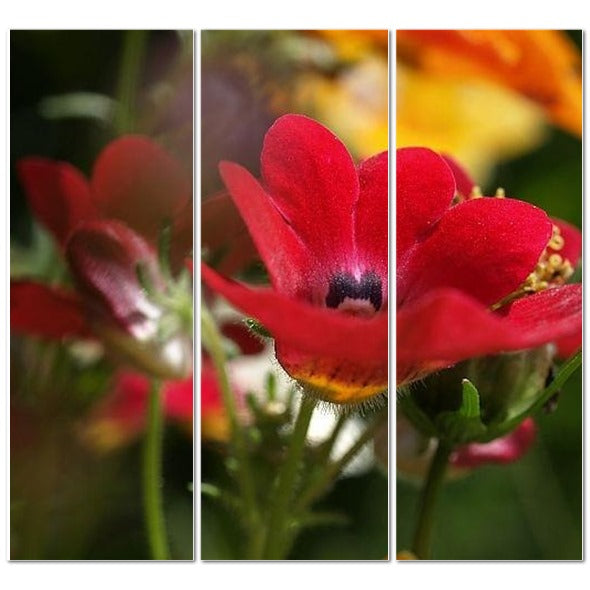 Made in UK Floral Triptych Canvas featuring Red Nemesia. Three panel canvas of wooden rowing boats docked on a lake at sunset
