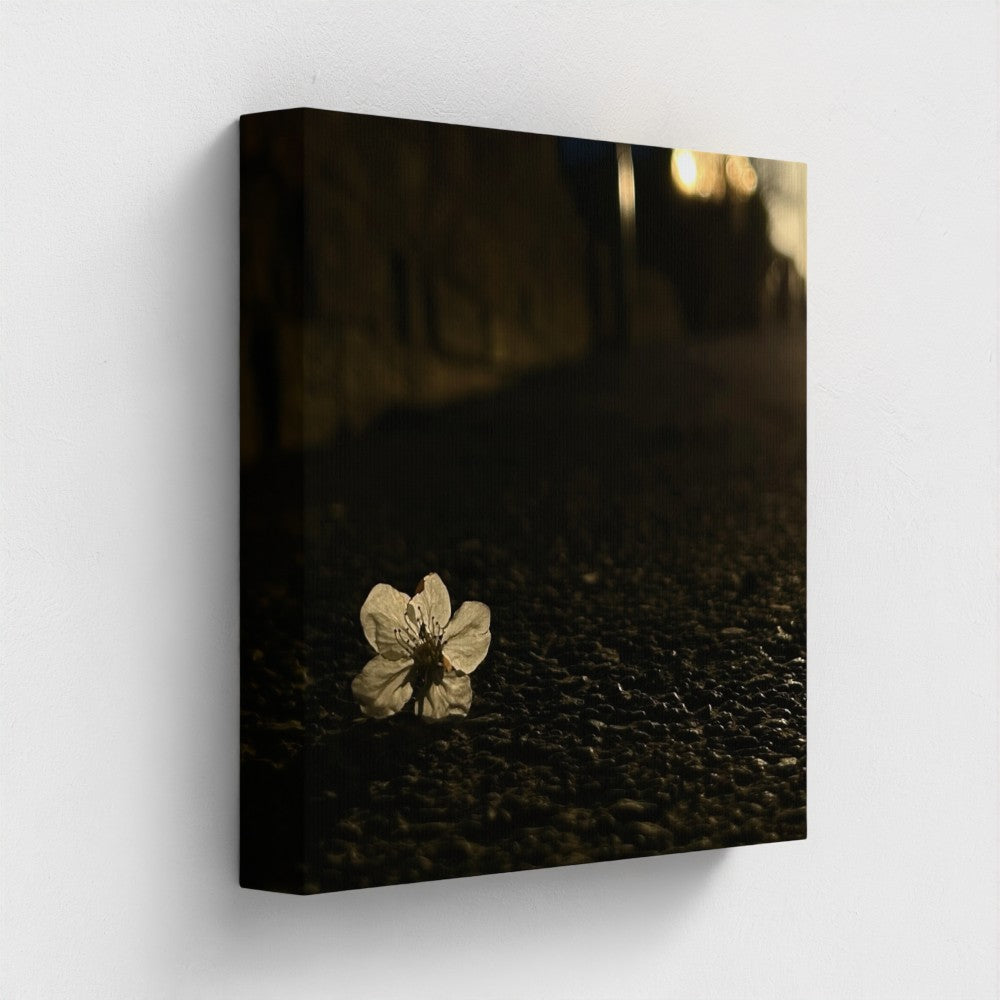 Papi's Canvas print featuring a single white flower on dark ground using Eco-Friendly Vegan Canvas material