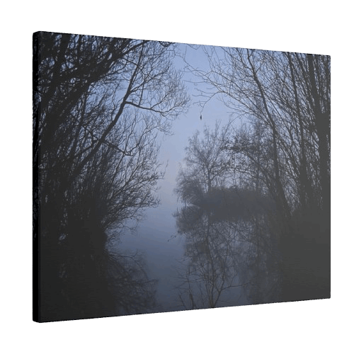Giclée Canvas Print