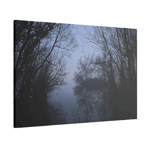 Giclée Canvas Print