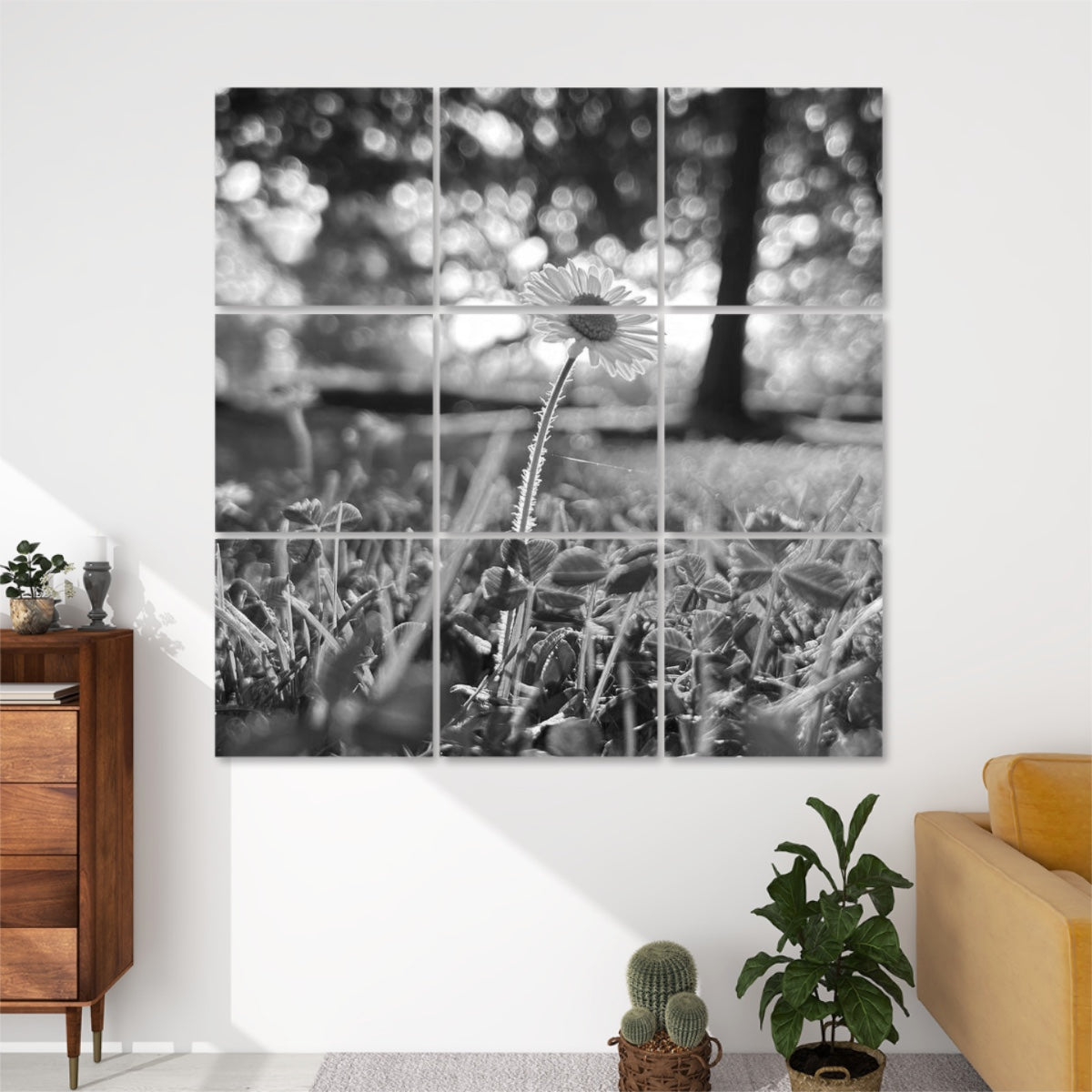 Grayscale version of a single daisy in a field of soft light and shadow, split between 9 floral acoustic wall panels.