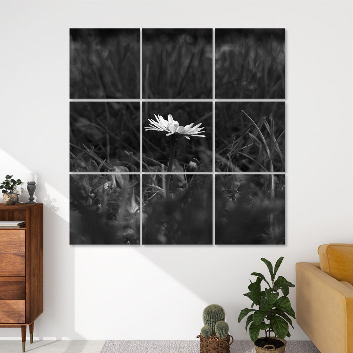 Grayscale image of a daisy rising from the grass with gentle tonal range, arranged over 9 sound absorbing wall panels.