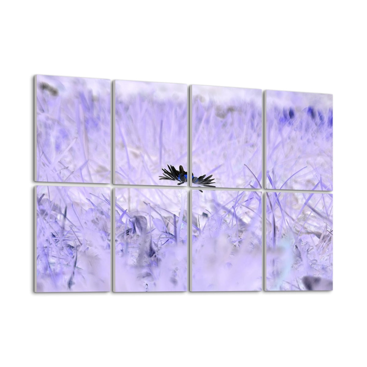 Inverted-tone floral sound absorbing panel set showing a bold white daisy against darkened grass, arranged across 8 panels.