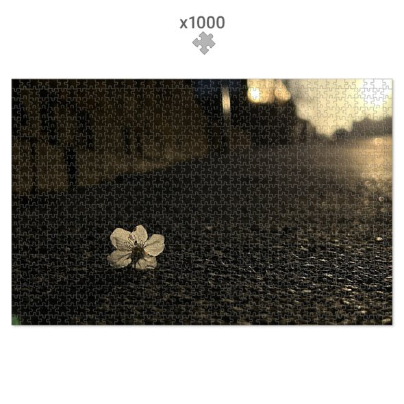Made in UK Floral Eco-Friendly Jigsaw Puzzle featuring a close-up of a single white flower on textured ground at sunset