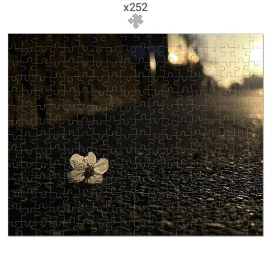 Made in UK Floral Eco-Friendly Jigsaw Puzzle featuring a single white flower on textured ground at sunset with 252 pieces