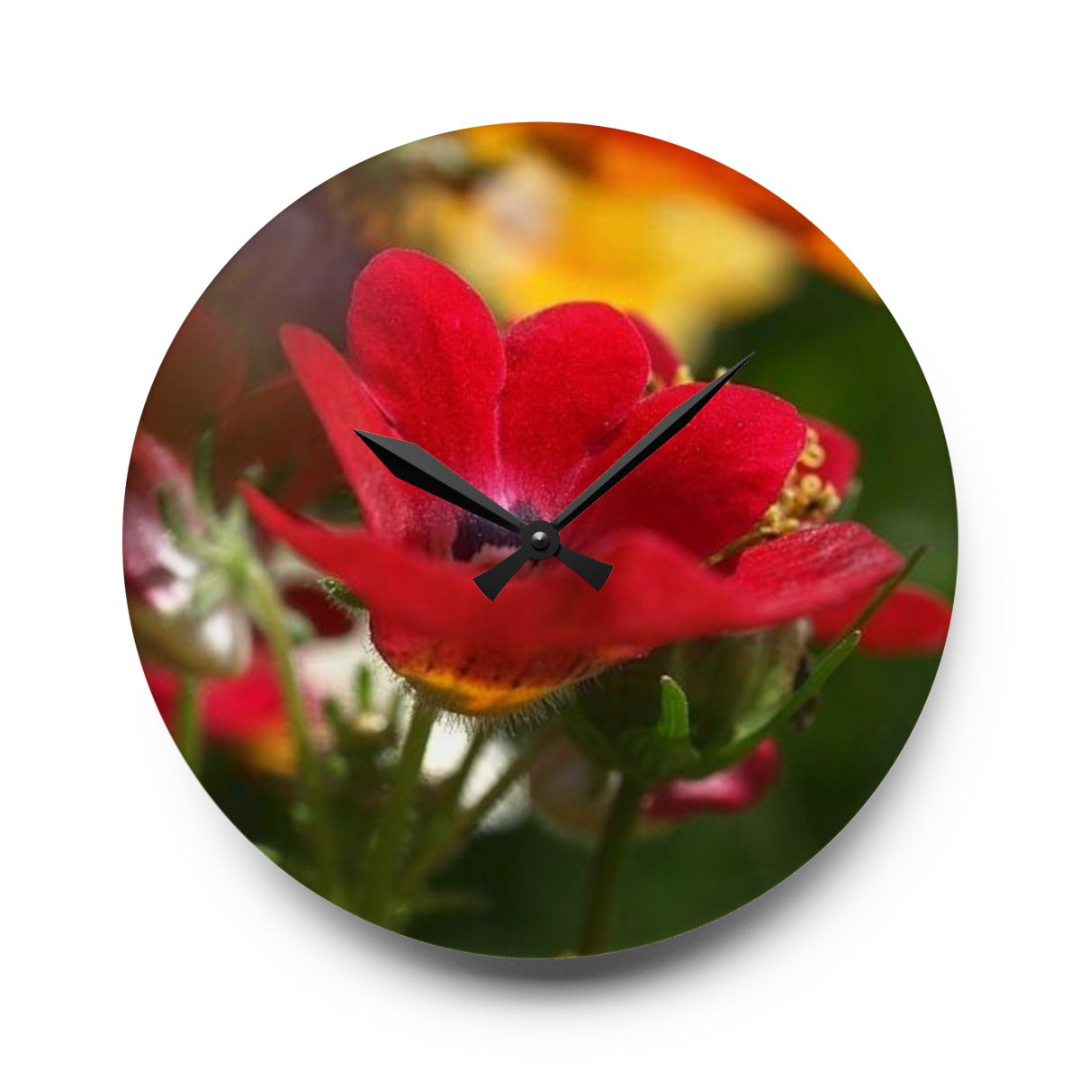 floral acrylic wall clock featuring red flower
