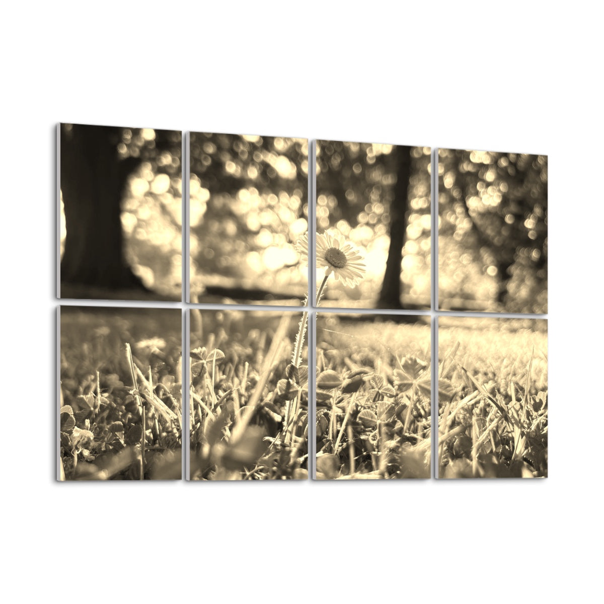 Sepia-toned acoustic floral wall art showing a daisy in sun-washed grass under a golden vintage hue, divided between 8 sound absorbing panels.