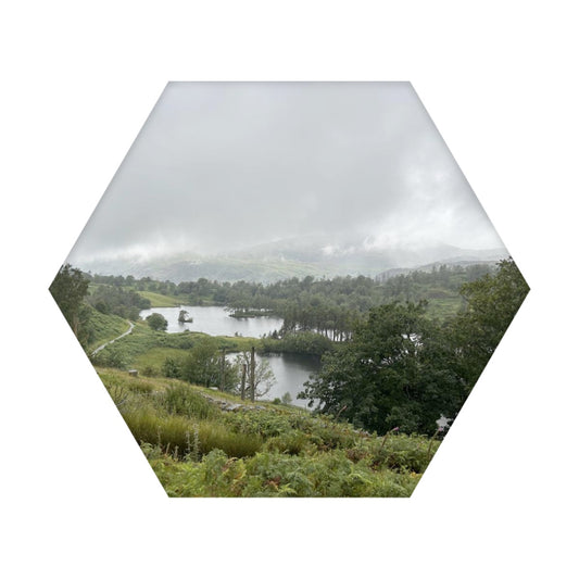 Single Hexagon Decorative Sound Absorbing Wall Panel featuring Tarn Hows Lake District Landscape. Printed misty lake view