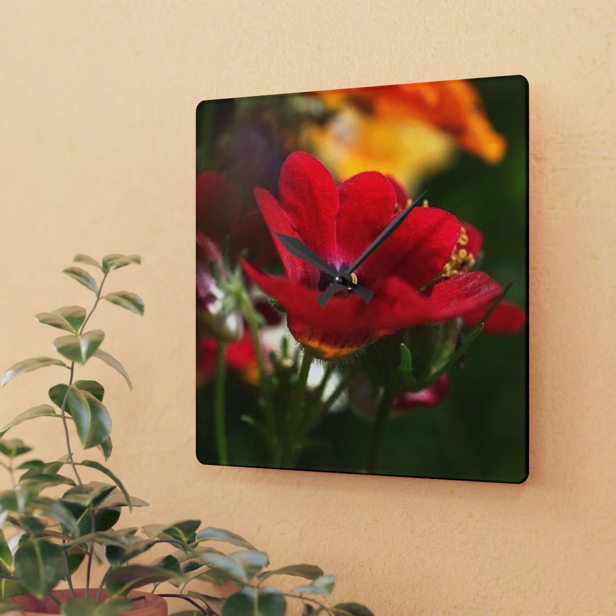 floral acrylic wall clock featuring close up of red flower