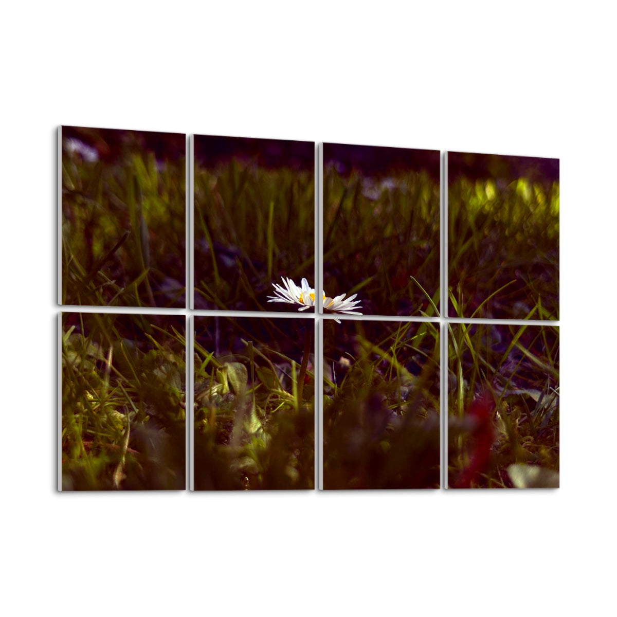 Bright technicolor version of a daisy rising through saturated green grass, split between 8 decorative sound absorbing wall panels.
